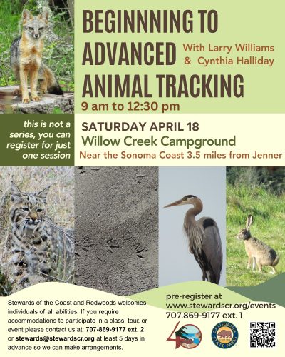 2026 April 18 Beginning to Advanced Animal Tracking Willow Creek
