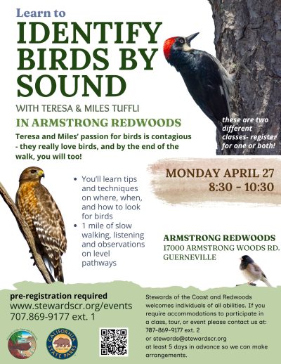 2026 Birding the Redwood Forest by Ear April 27
