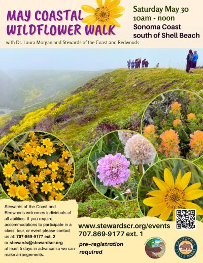 2026 May Sonoma Coast Wildflower Walk