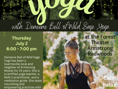 Yoga in the Redwoods with Deneene