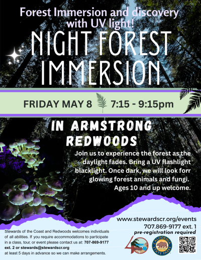 2026 May 8 Night Forest Immersion Walk with UV lights