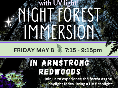 Night Forest Immersion Walk with UV lights May 8