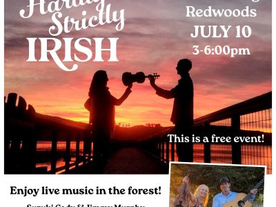 Hardly Strictly Irish