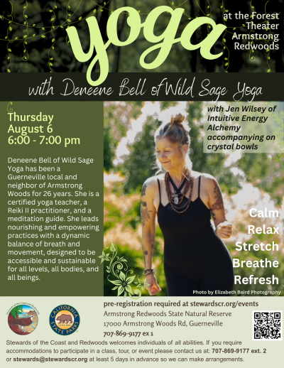 2026 Yoga in the Redwoods August 6