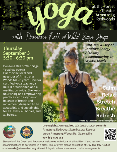 Yoga in the Redwoods with Deneene