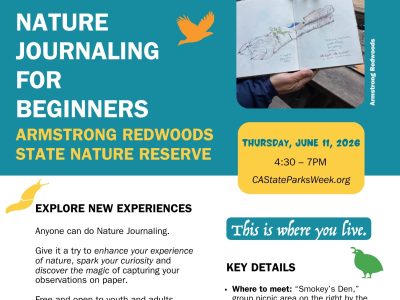 Beginner's Nature Journaling in Armstrong Redwoods