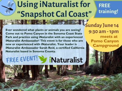 Learn to use iNaturalist to document living things