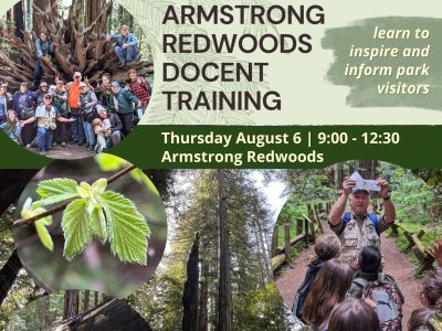 Redwood Ecology Docent Training