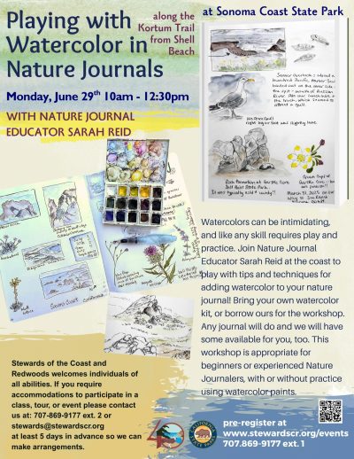 2026 Playing with Watercolor in Nature Journals at the coast June