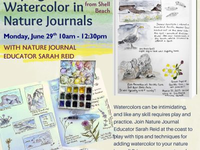 Playing with Watercolor in Nature Journals at the coast