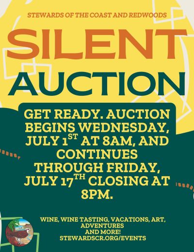 Stewards Summer Auction 2026