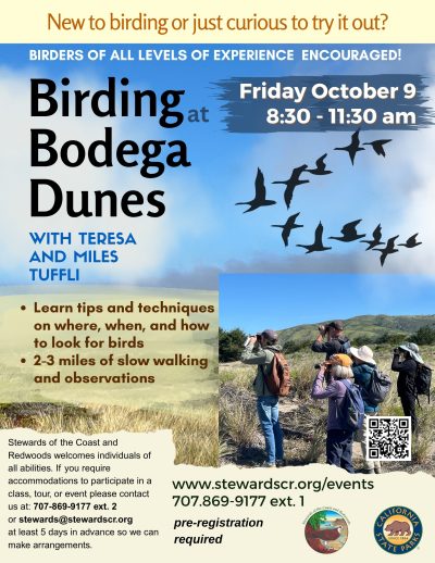 2026 Birding at Bodega Dunes October 9