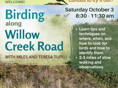Birding along Willow Creek Road October 3