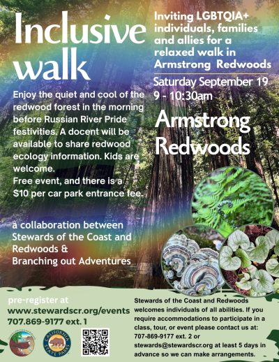 2026 Inclusive Morning Walk in Armstrong Redwoods