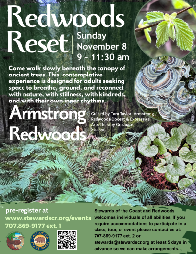 2026 Redwoods Reset November 8