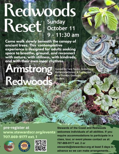 2026 Redwoods Reset October 11