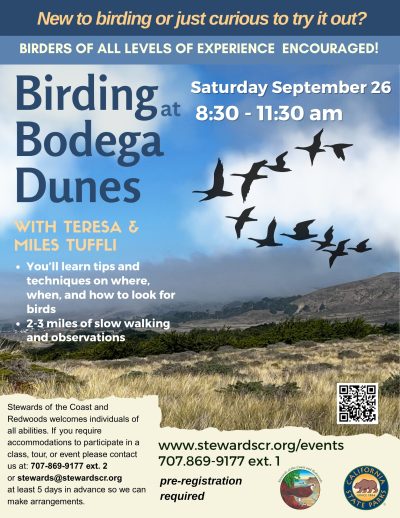 2026 Birding at Bodega Dunes September 26
