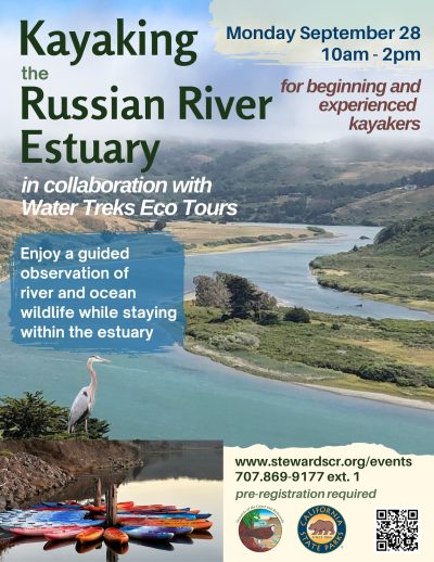 Kayaking the Russian River Estuary with WaterTreks EcoTours