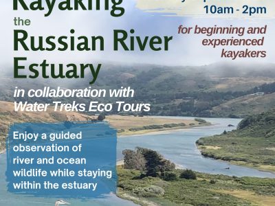 Kayaking with WaterTreks EcoTours
