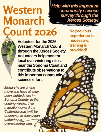 2026 Western Monarch Count