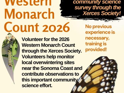 2026 Western Monarch Count with the Xerces Society