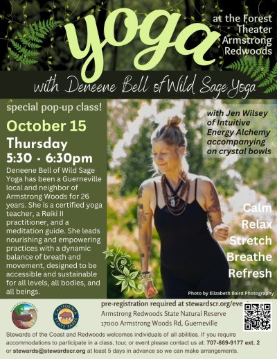 2026 Yoga in the Redwoods October 15