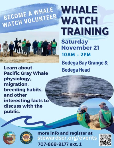 2027 Whale Watch Volunteer Training