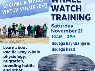 Whale Watch Volunteer Training for 2027 season